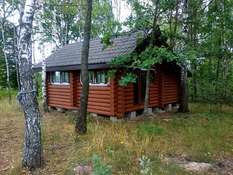 ділянка за адресою с. Нові Соколи, Романівка