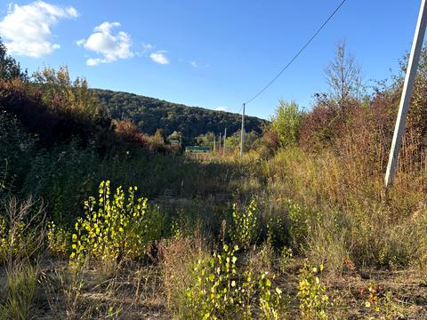 ділянка за адресою Вишнева