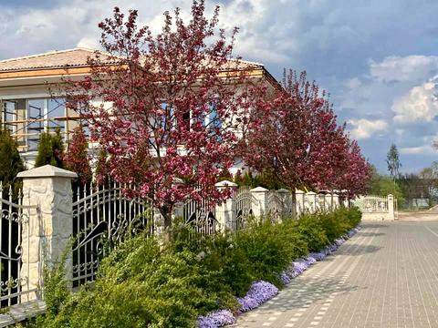 будинок за адресою Квітуча