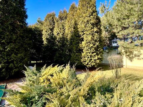 будинок за адресою Янтарная, 14