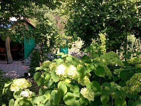 будинок за адресою с. Хвильово-Сорочин, Перемоги