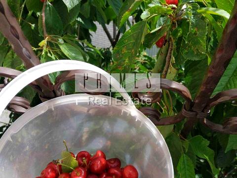 дом по адресу Сеноманський