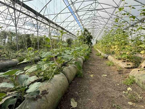 комерційна за адресою Польова, 8