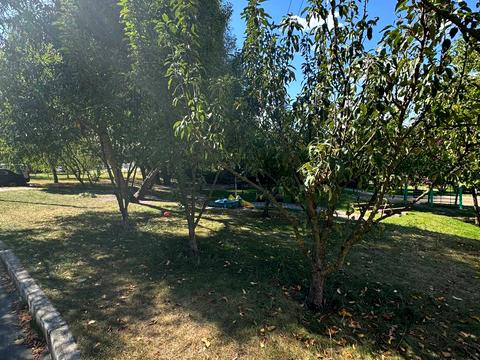 участок по адресу 