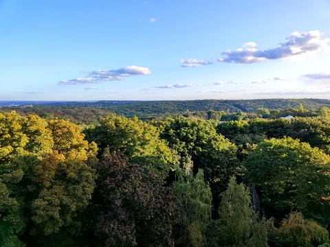 квартира по адресу Родимцева генерала ул. (Генерала Родимцева), 11