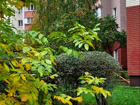 квартира по адресу Петра Григоренко просп., 14