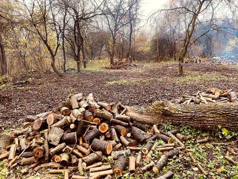 ділянка за адресою Під Голоском вул.