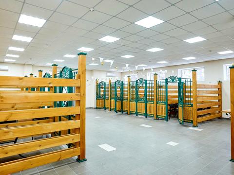 коммерческая по адресу Перемишльська ул. (Червонопільська), 19-21