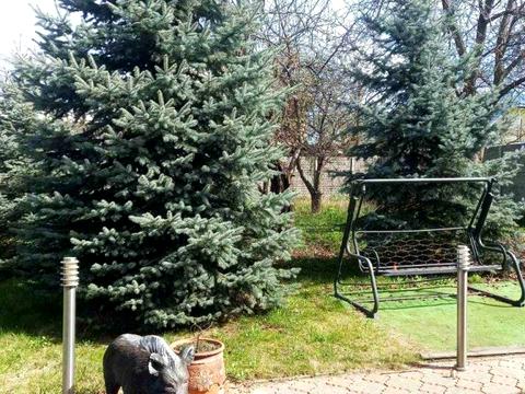 будинок за адресою Володимира Пасічника вул. (Толбухіна), 10