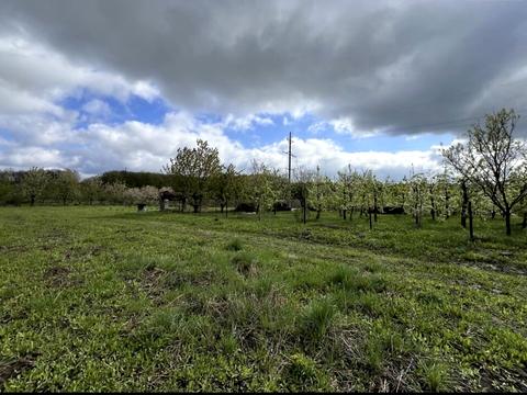 ділянка за адресою 1 вінницька