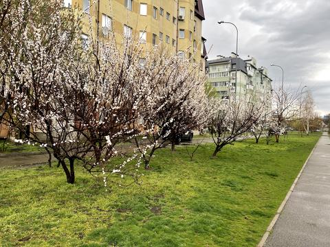 квартира по адресу Івана Дяченка ул., 20В