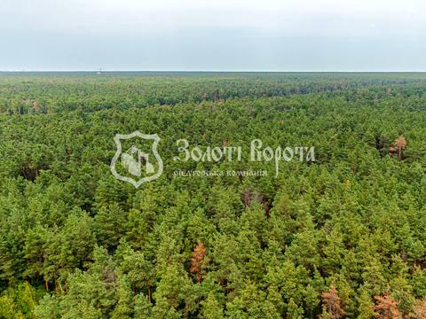 квартира по адресу Светлая ул., 3д