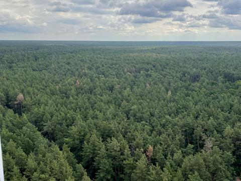 квартира за адресою Світла вул., 3д