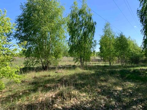 ділянка за адресою с. Ясногородка, 