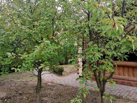 будинок за адресою Північна вул., 8
