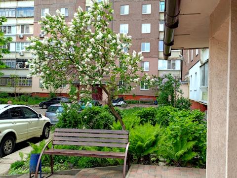 квартира за адресою Олімпійська вул., 2-А