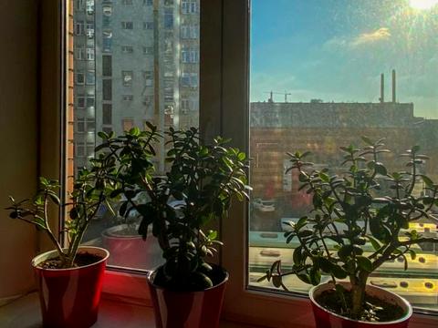 комерційна за адресою Королеви Єлизавети ІІ вул. (Глинки), 1