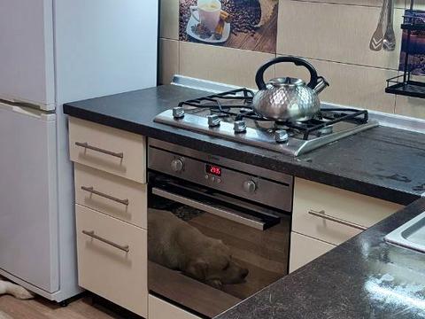 квартира по адресу Збройних Сил України ул. (Інтернаціоналістів), 6