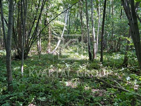 участок по адресу Грибна, 11/2