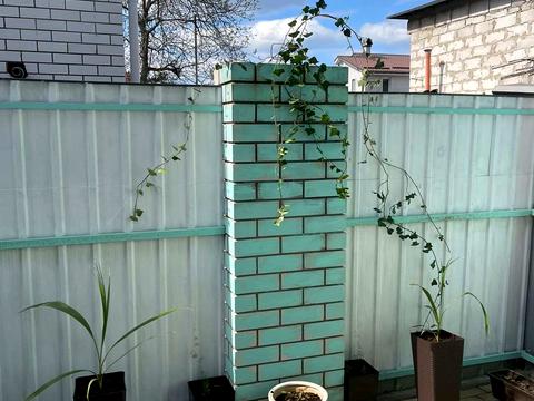 будинок за адресою Симона Петлюри вул. (Маяковського), 7