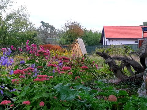 будинок за адресою Східна