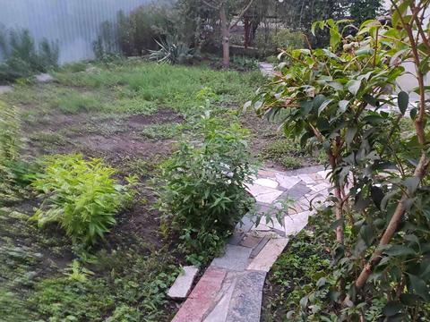 дом по адресу Марата ул., 5