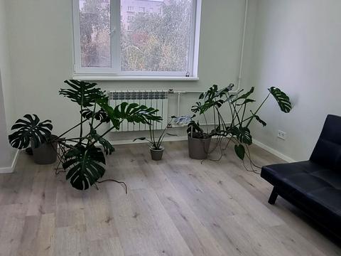 квартира за адресою Європейська вул. (Новгородська), 6а