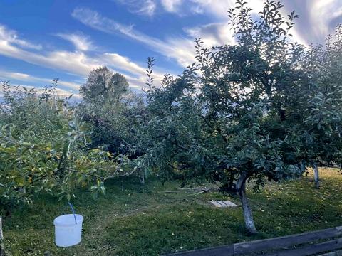 ділянка за адресою 