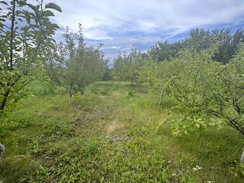будинок за адресою Б Хмельницького, 50