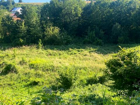 ділянка за адресою Ужанська вул. (Червоноармійська)