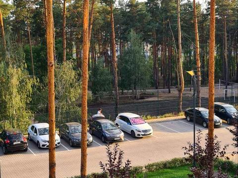 квартира за адресою Прорізна вул., 13