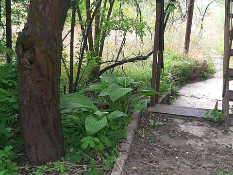 будинок за адресою с. Привільне, Центральна
