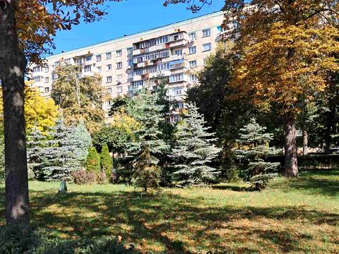квартира по адресу Кирилловская ул. (Фрунзе), 124