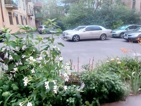 квартира по адресу Еврейская ул., 9