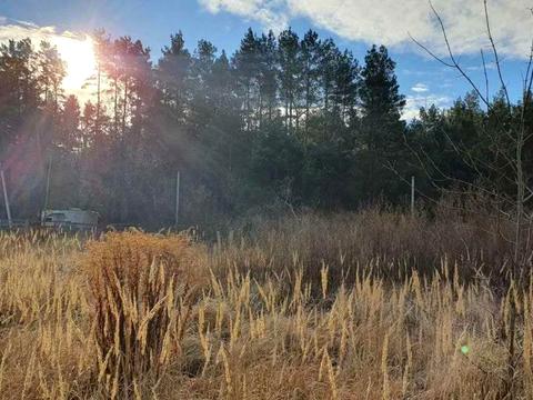 участок по адресу Журавлина