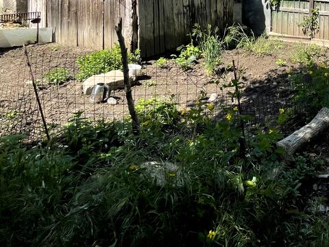 квартира по адресу Фонтанская дорога ул., 107