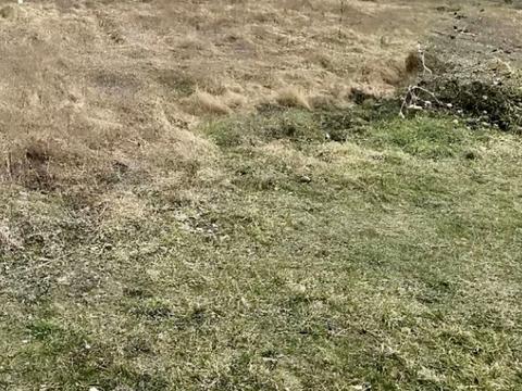 ділянка за адресою 1-й Курортний пров.