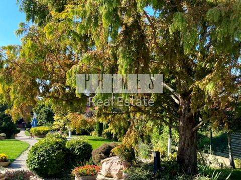 будинок за адресою Виноградна вул.