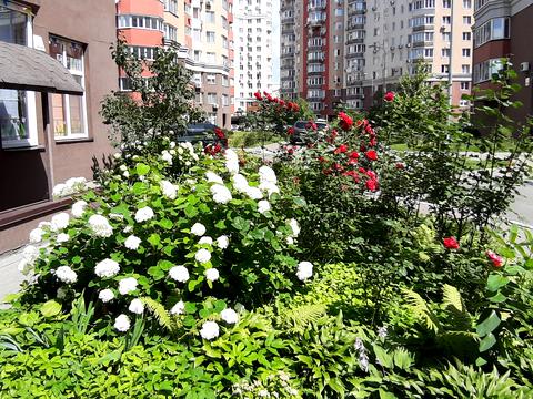 квартира за адресою Композитора Мейтуса вул., 4-А