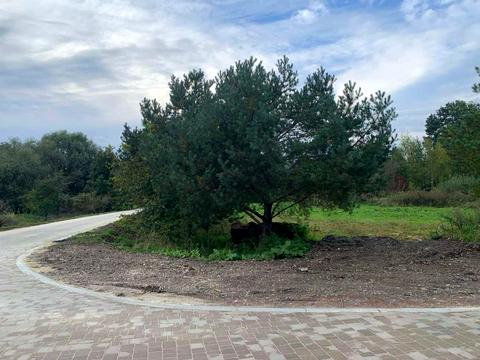 ділянка за адресою Княгині Ольги