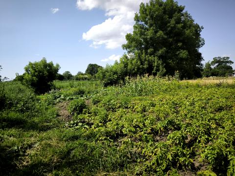 будинок за адресою Івана Виговського, 8