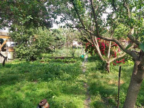 участок по адресу Садовая ул., 43
