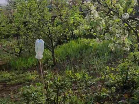 дом по адресу Одесса, 21-й км Старокиївської дороги ул.
