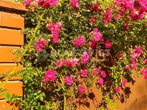 будинок за адресою Центральна