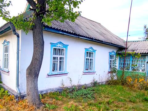 будинок за адресою прорізна, 11