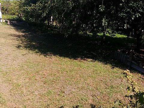 дом по адресу Зоріна