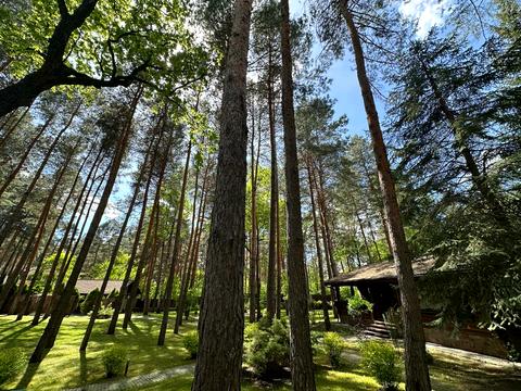ділянка за адресою Анатолія Солов'яненка вул., 11