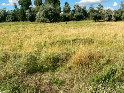 ділянка за адресою Березанівська вул. (Моріса Тореза)