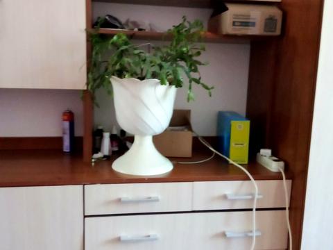 комната по адресу Роксоланы ул., 12