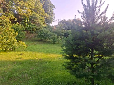 участок по адресу Клубна, 33